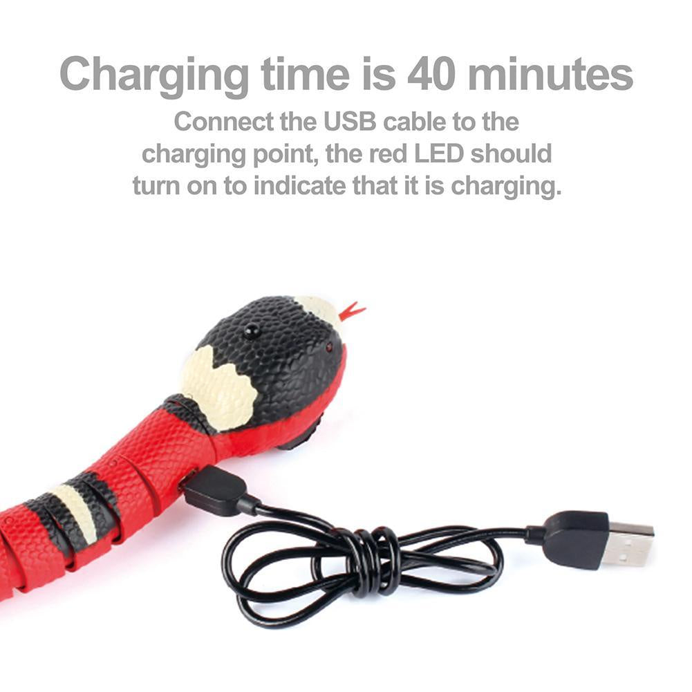 Electric Induction Snake
