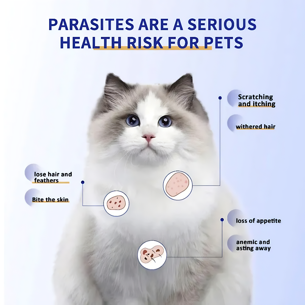 1bot/100 Pet Insect Repellents