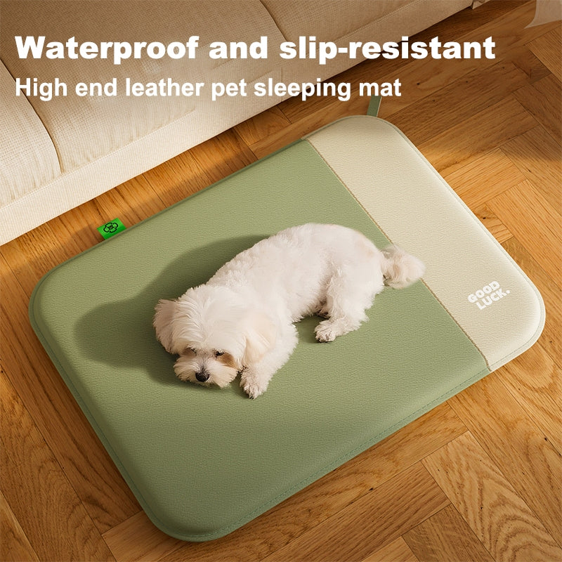 Simple Leather Mat