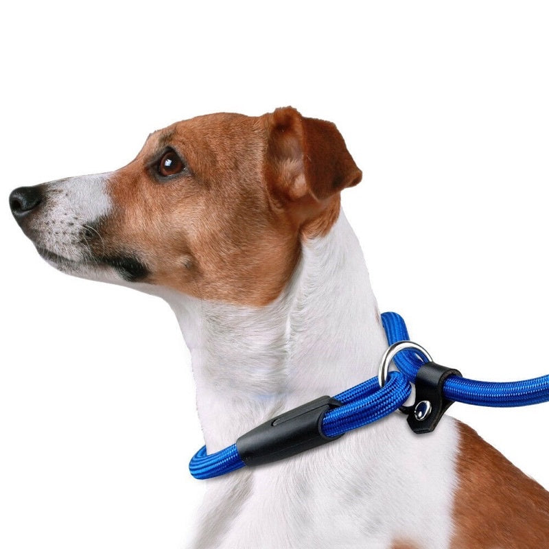 All-in-One P Leash