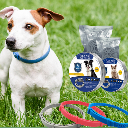 Flea & Tick Collar