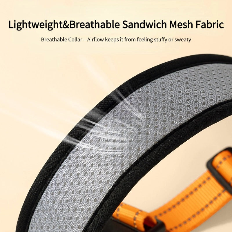 Mesh Reflective Collar