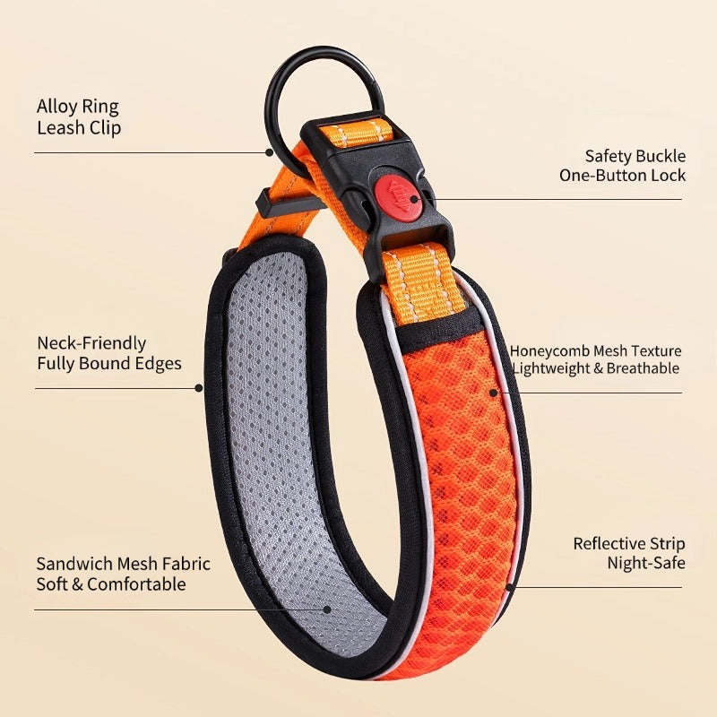 Mesh Reflective Collar