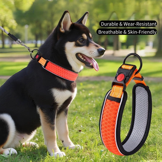 Mesh Reflective Collar