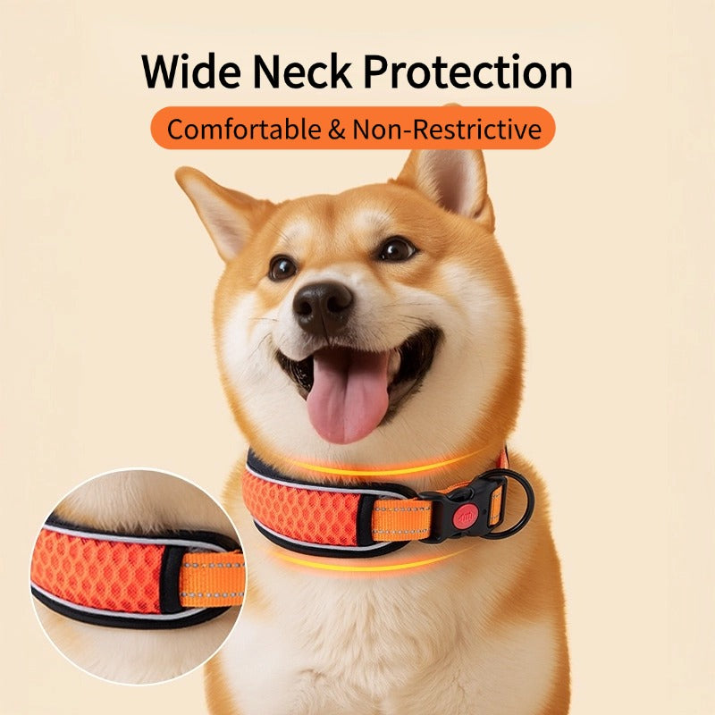 Mesh Reflective Collar