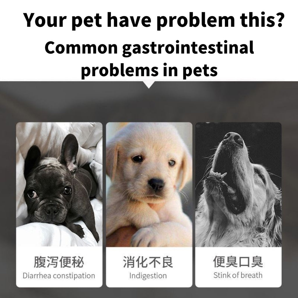 [180PCS]Pet Supplement Vitamin Probiotics