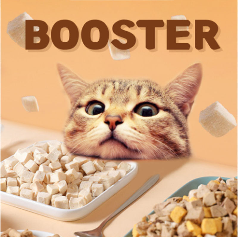 Freeze-Dried Chicken Cubes