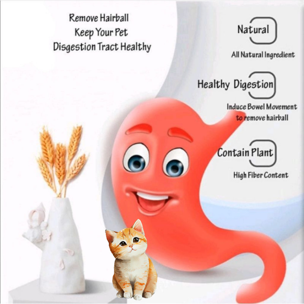 Nutrition Paste Series