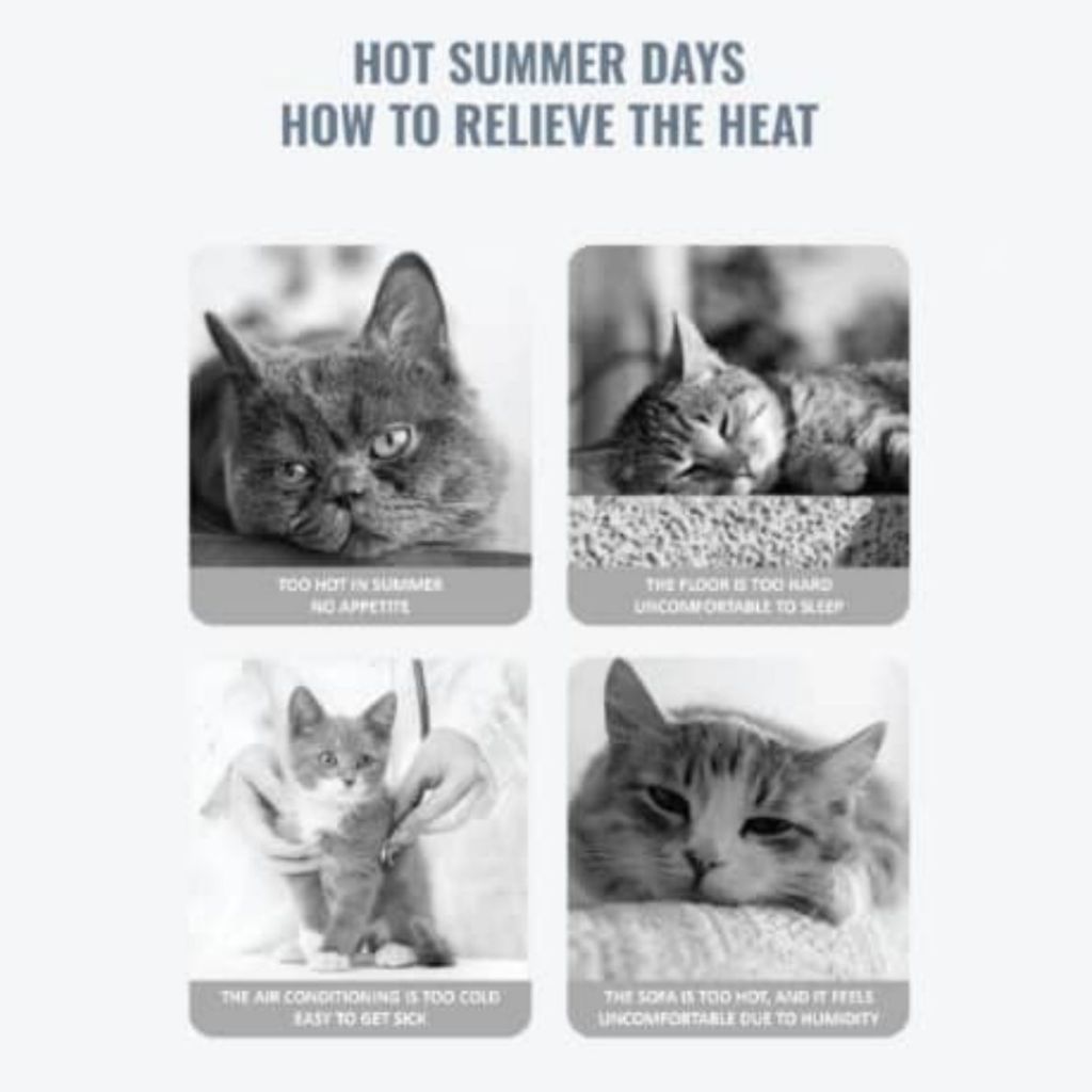 Pet Cooling Mat