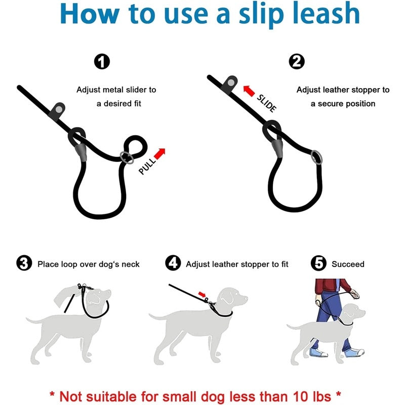 All-in-One P Leash