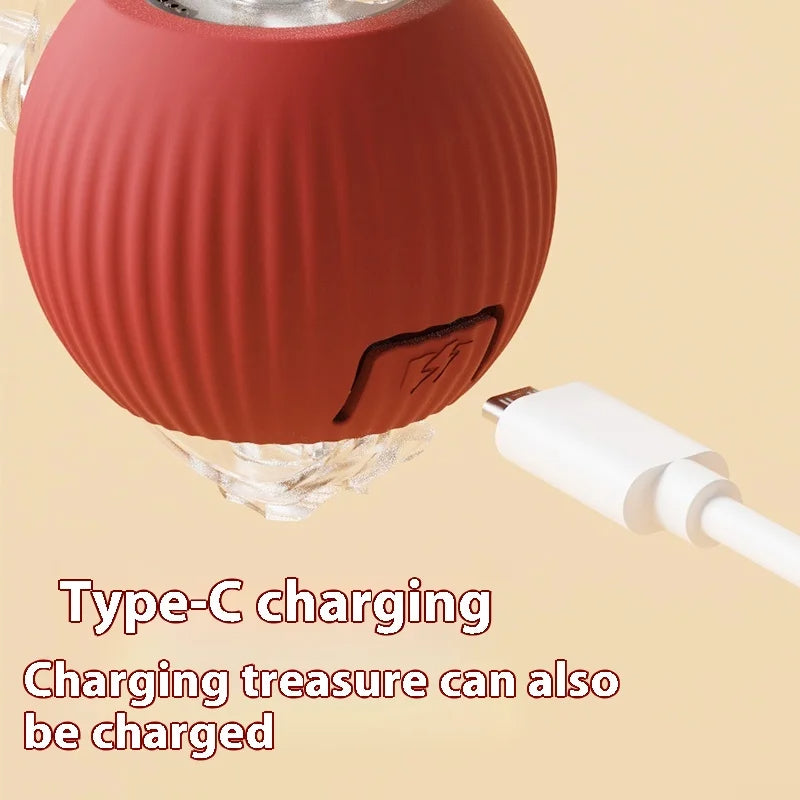 Pet Intelligent Rolling Ball