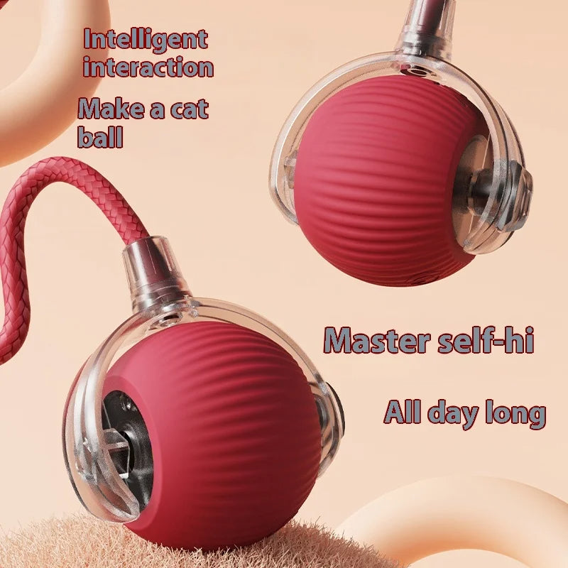 Pet Intelligent Rolling Ball
