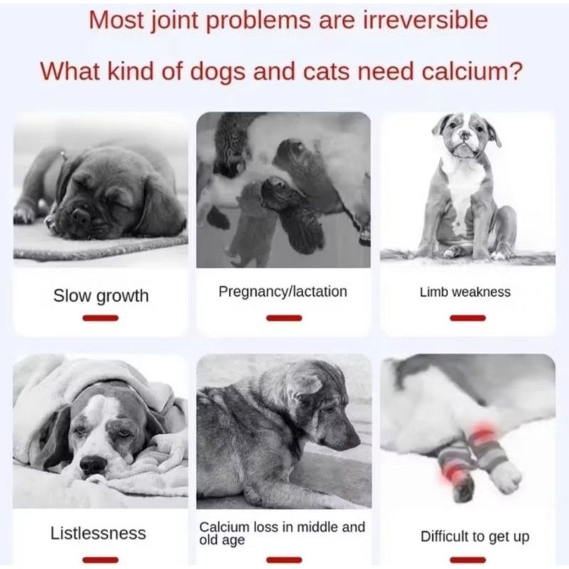 Cat and Dog Nutritional Supplement