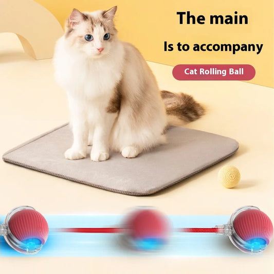 Pet Intelligent Rolling Ball