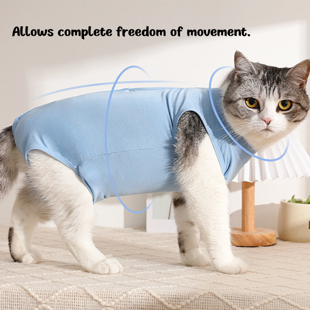 Cat Recovery Suit