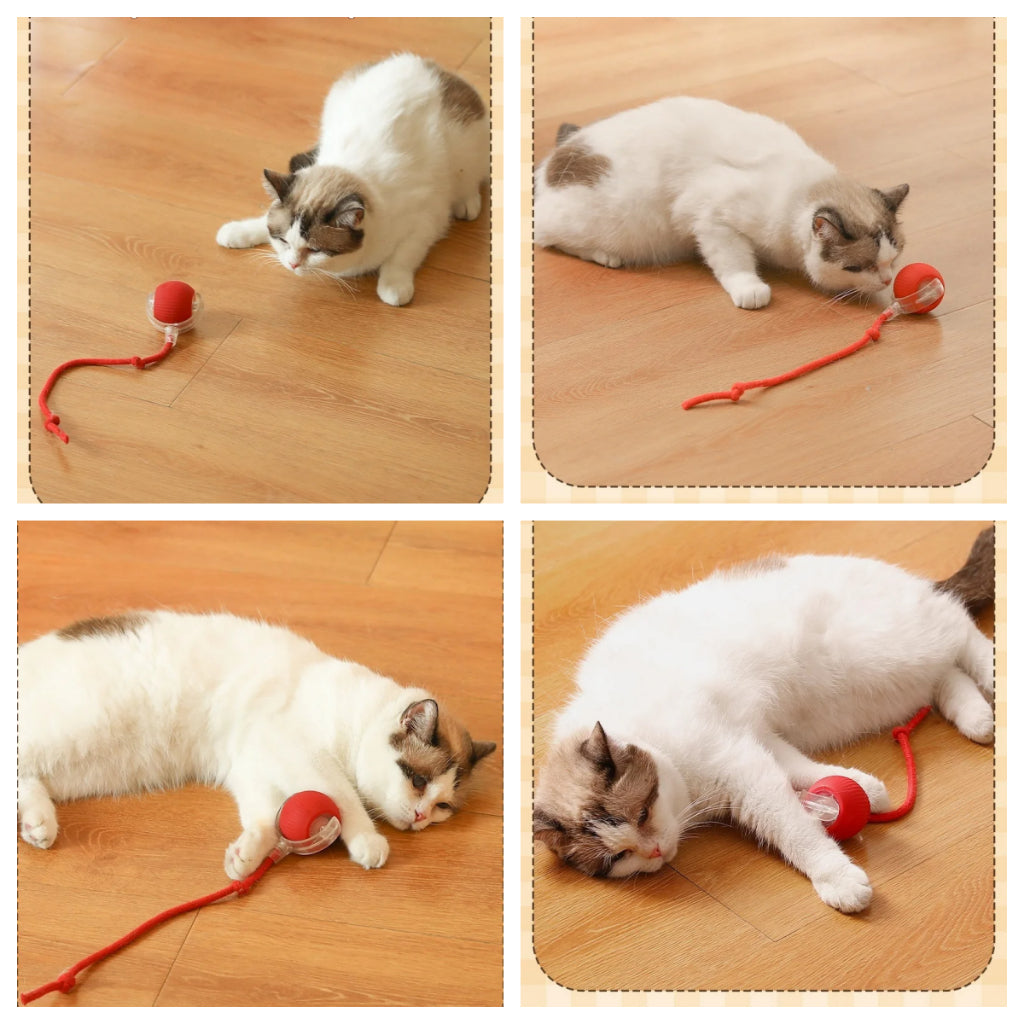 Pet Intelligent Rolling Ball