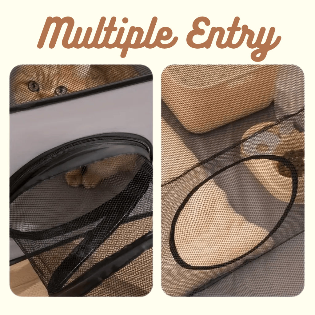 Cat Delivery Room