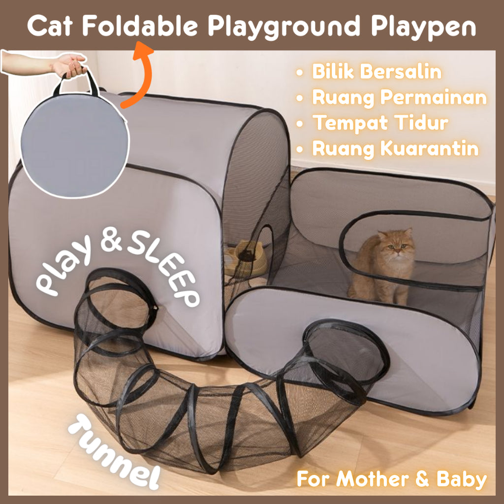 Cat Delivery Room