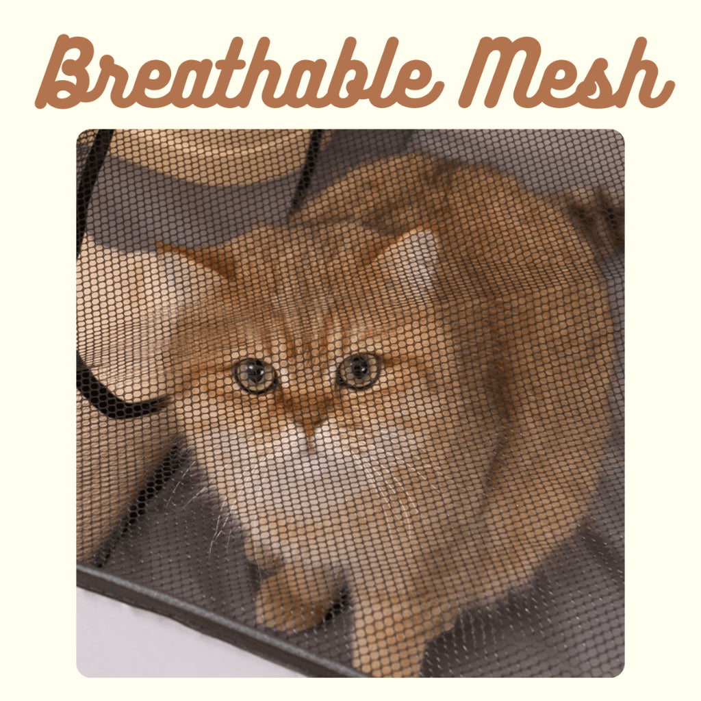 Cat Delivery Room