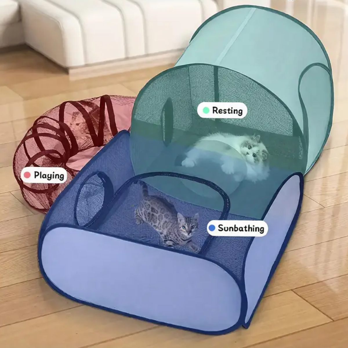Cat Delivery Room