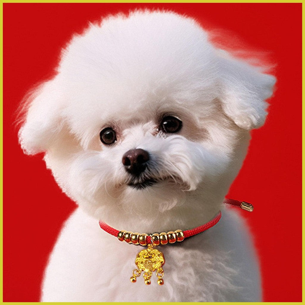Longevity Lock Pet Collar