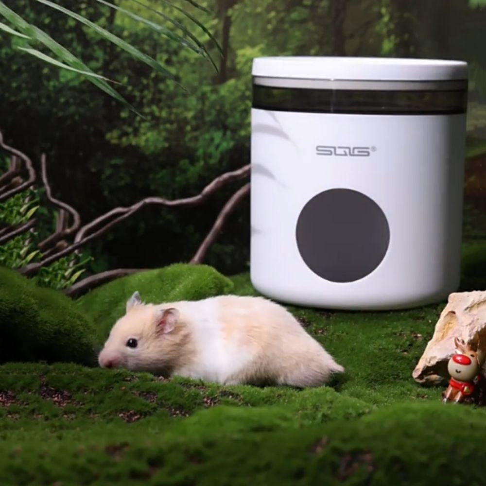 Hamster Cooling House