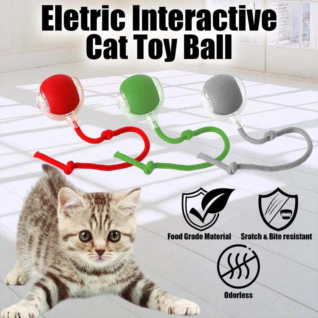 Pet Intelligent Rolling Ball
