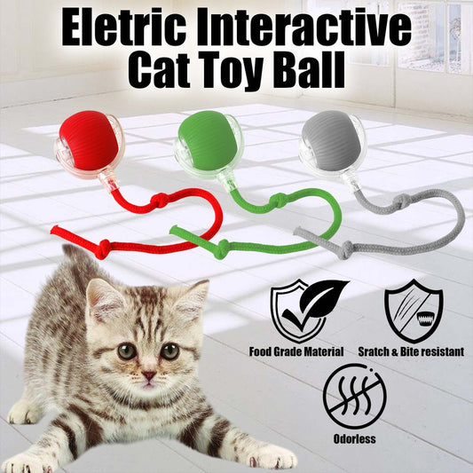 Pet Intelligent Rolling Ball